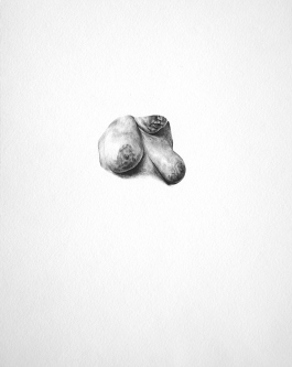 maxime Lemoyne